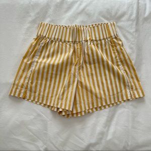 AYR the Stacation Shorts in Mac n Cheese